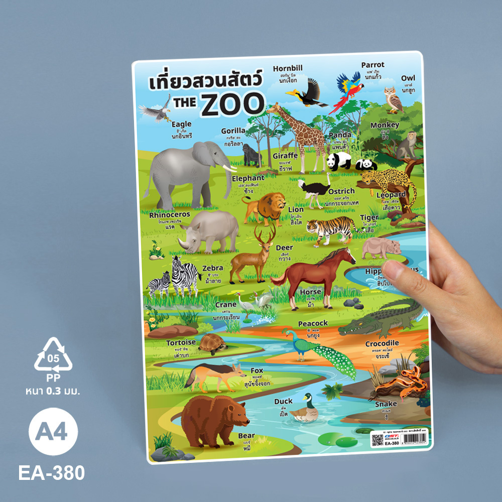 โปสเตอร์ความรู้ ชุดคำศัพท์ใช้บ่อย ไทย-อังกฤษ ขนาด A4 EA-380