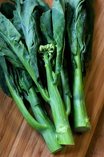 เมล็ดพันธุ์ คะน้าฮ่งกง จัมโบ้
