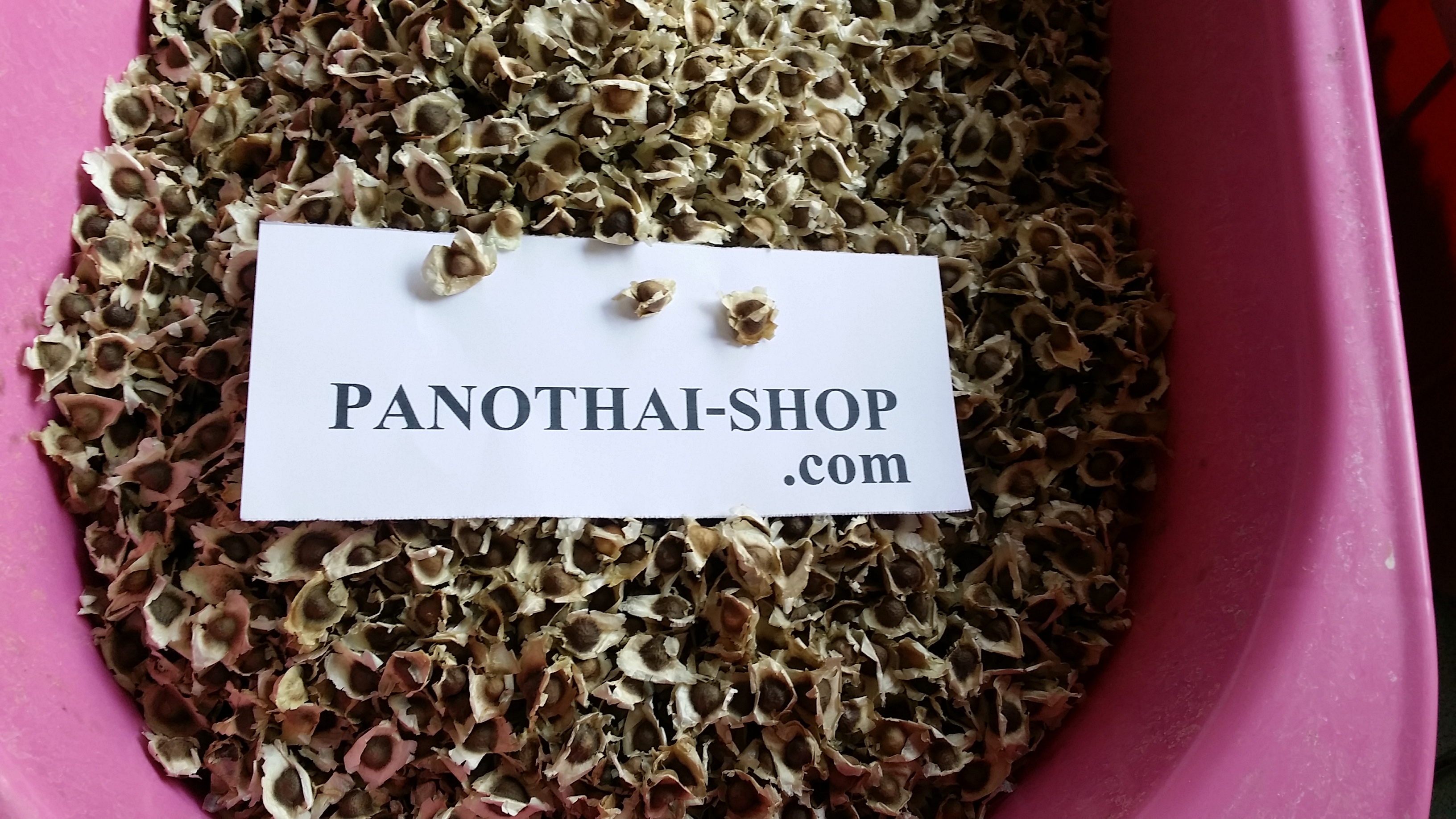 เมล็ดมะรุมแห้งคัดเกรด 1 กิโลกรัม.