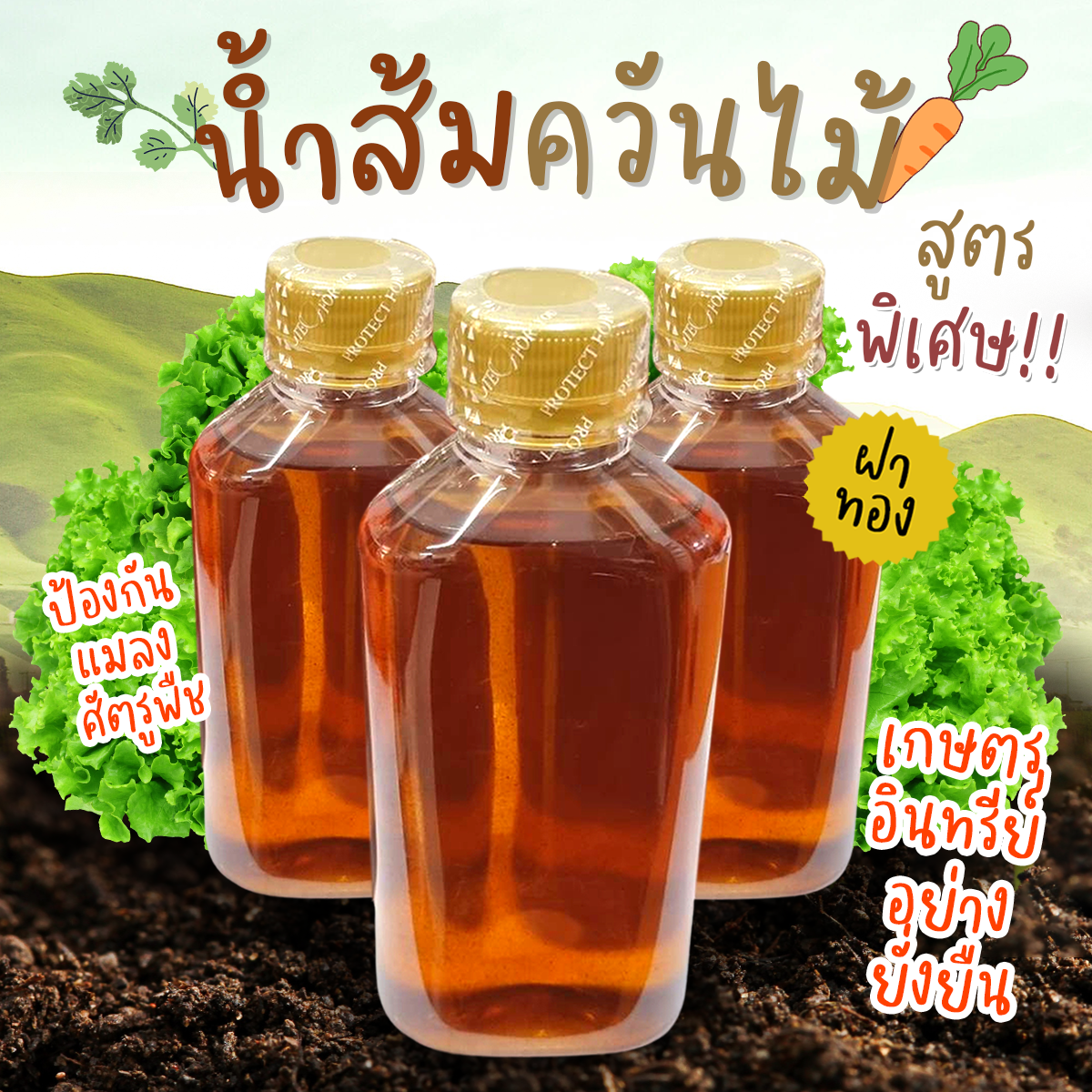 น้ำส้มควันไม้ เข้มข้น100% ขนาด 250 มล ฝาทอง ป้องกัน มด เพลี้ย และแมลงศัตรูพืช ป้องกันโรคที่เกิดจากเชื้อรา ฆ่าเชื้อโรคในดิน รุ่นฝาทอง