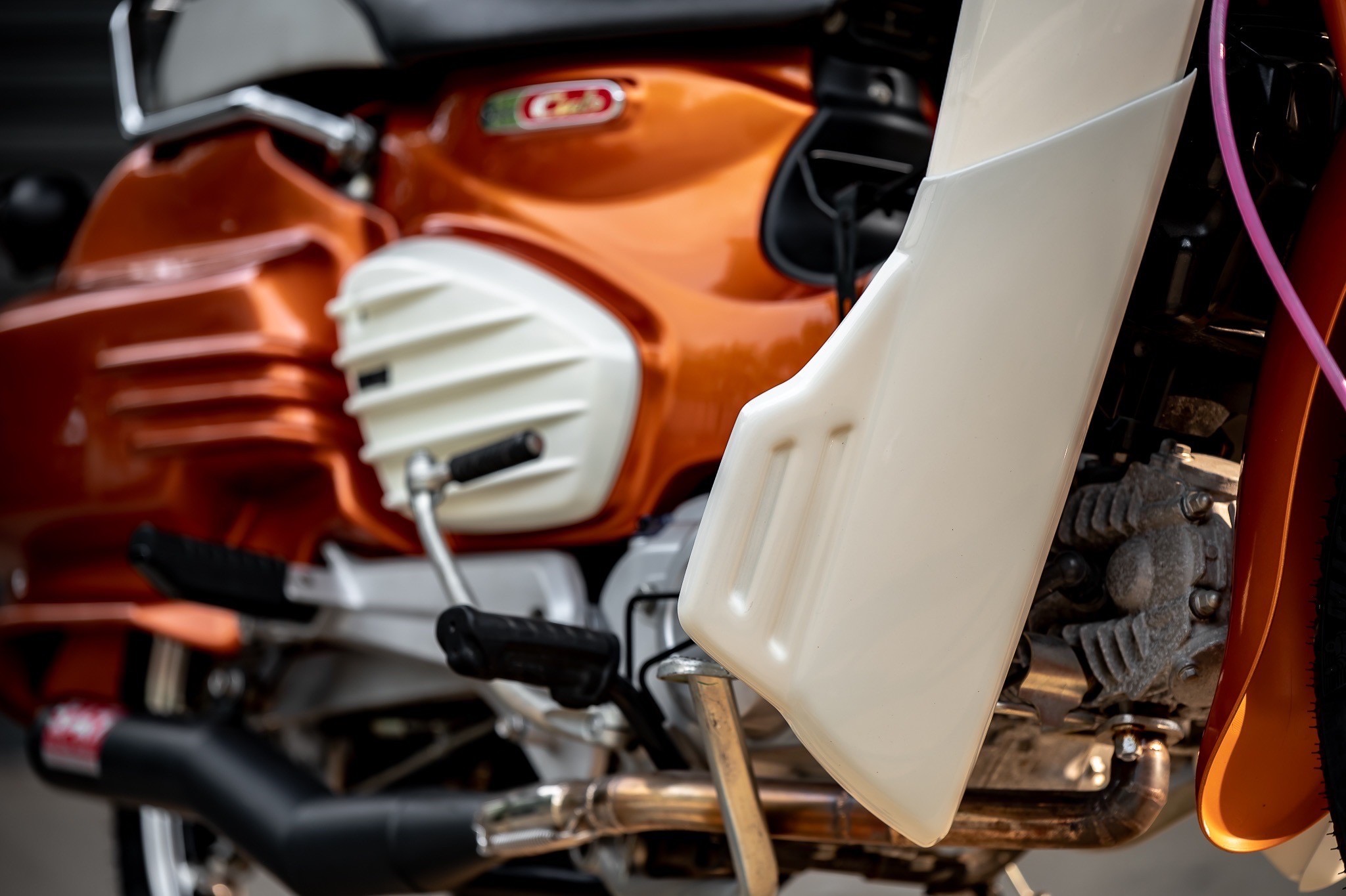 HONDA SuperCUB C125-C110 MotolordD