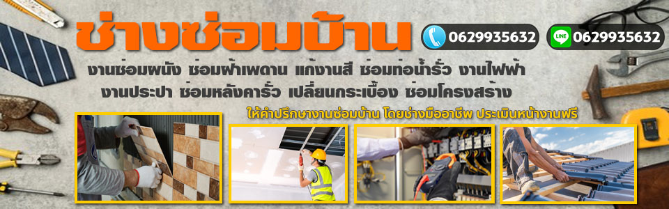 บริการซ่อมแก้ไขปัญหาหลังคา