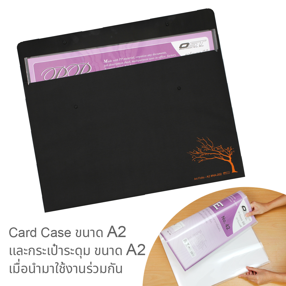 Sheet Protectors - PP Card Cases