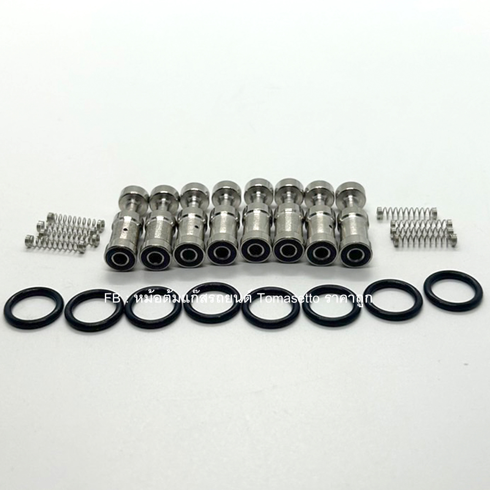 ชุดซ่อมราง Valtek 3 โอมห์ 8 สูบ(Energy Reform / Versus รางแดง)