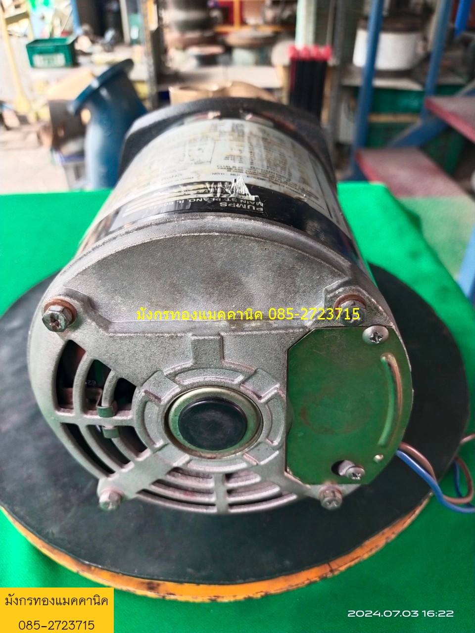 ปั๊มน้ำ ปั๊มอเนกประสงค์หัวปั๊มทองเหลือง ขนาด 250 วัตต์ ใช้ไฟบ้าน 220V ท่อน้ำเข้าออก 3/4นิ้ว