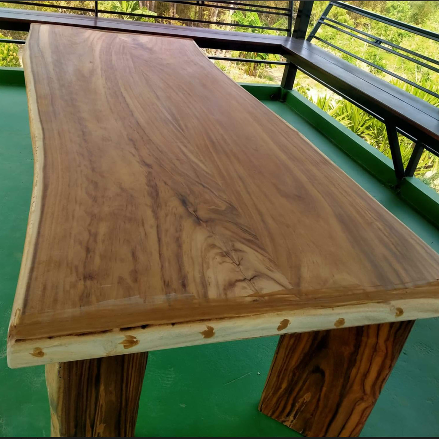 เมล็ดพันธุ์ ผักตุ๊ด,มะรุมป่า,พฤกษ์,ซึก,อีซึก หรือ จามจุรีทอง