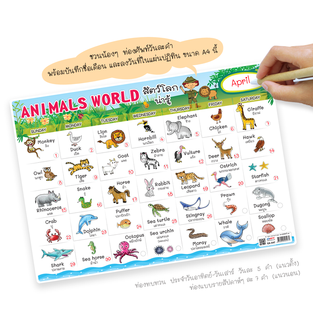 โปสเตอร์พลาสติก ขนาดA4 ความรู้ชุดคำศัพท์น่ารู้ ท่องคำศัพท์รายวัน
