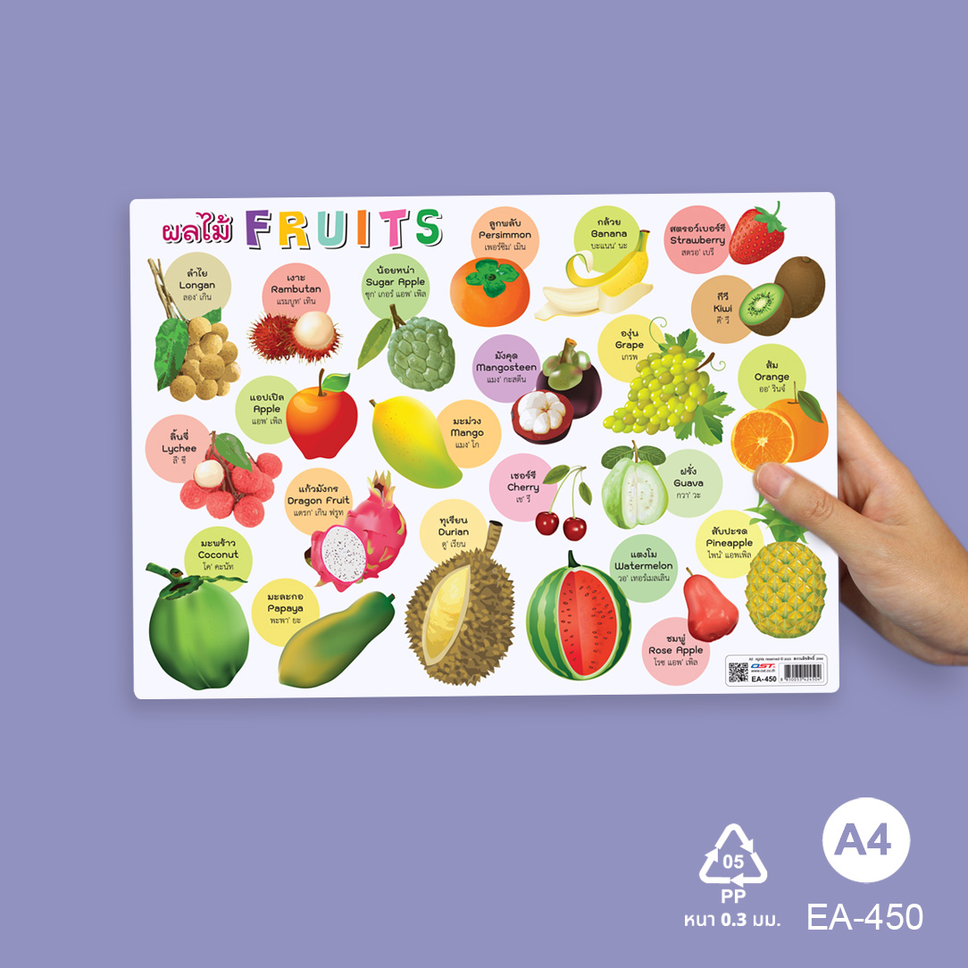 โปสเตอร์ความรู้ คำศัพท์ ไทย-อังกฤษ ชุดพืช ขนาดA4 EA-450 ผลไม้ Fruits