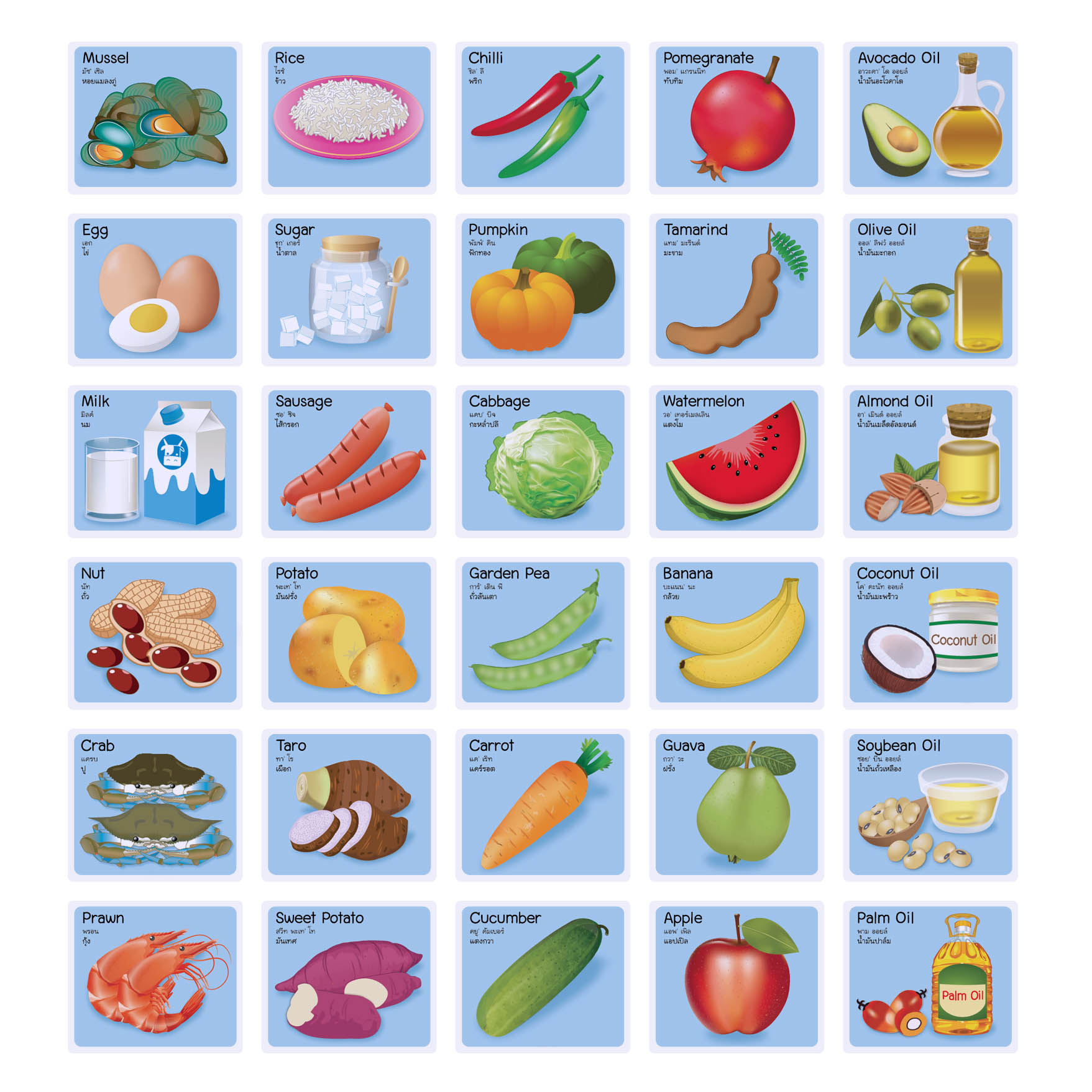 บัตรคำสื่อการเรียนการสอน ชุดอาหารหลัก5หมู่ ET-599 