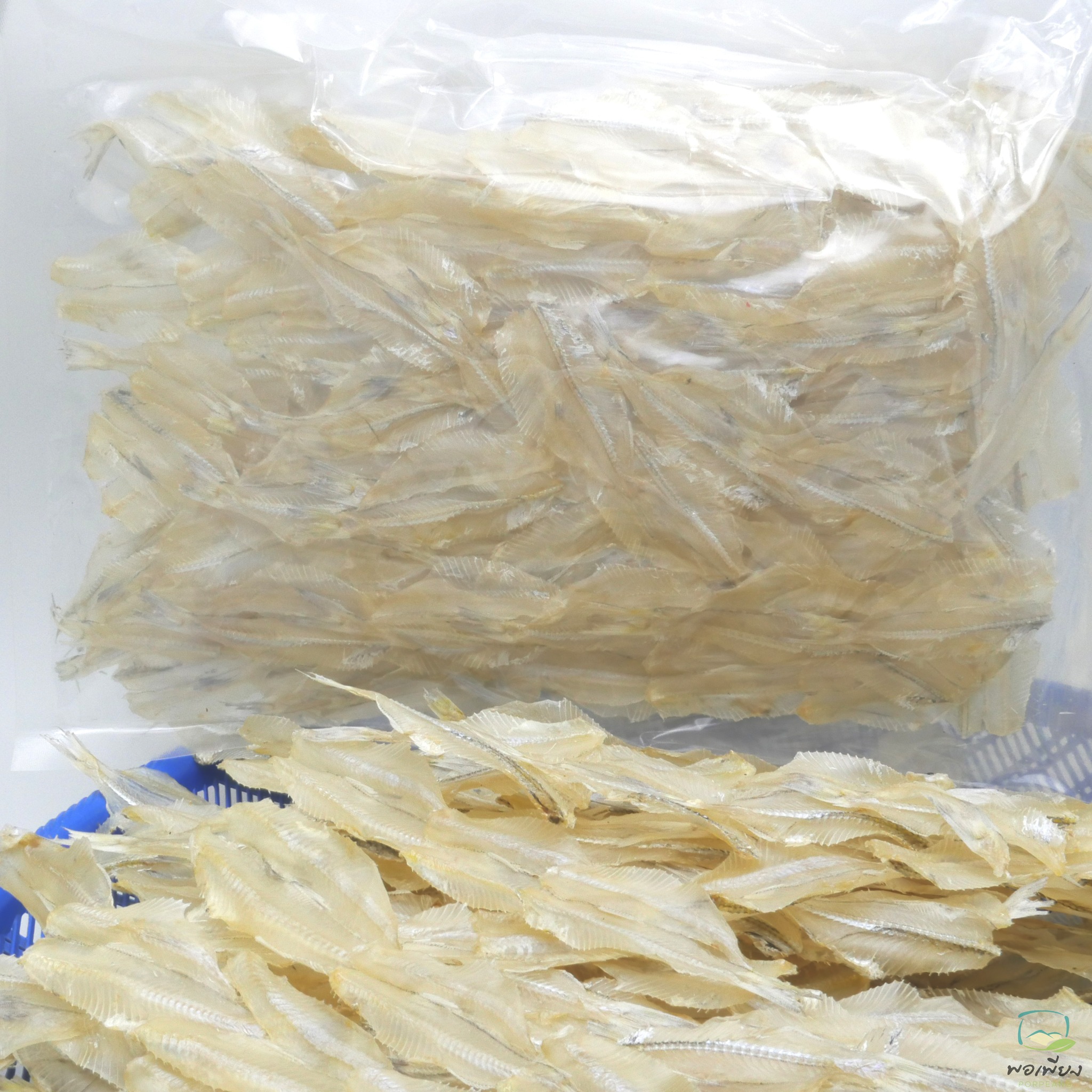 ปลาเกล็ดขาวผ่าพิเศษ ขายส่ง