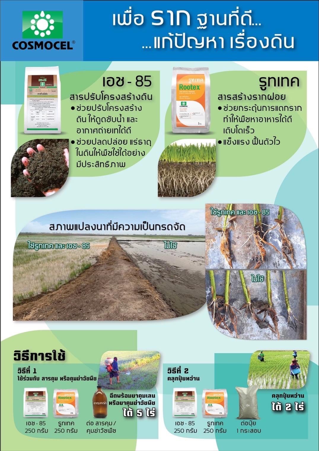 Cosmocel Rootex คอสโมเซล รูทเทค 7-47-4 +อะมิโน ช่วยในการเจริญเติบโตของราก ทำให้พืชออกดอกออกผล บรรจุ 1 กิโลกรัม
