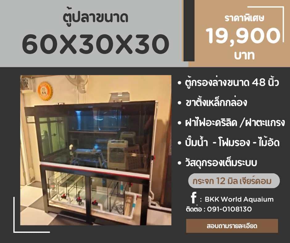 TP Service บริการรับติดตั้งตู้ปลา รับทำบ่ปลาคราฟ ตู้ปลาขนาด 60x30x30