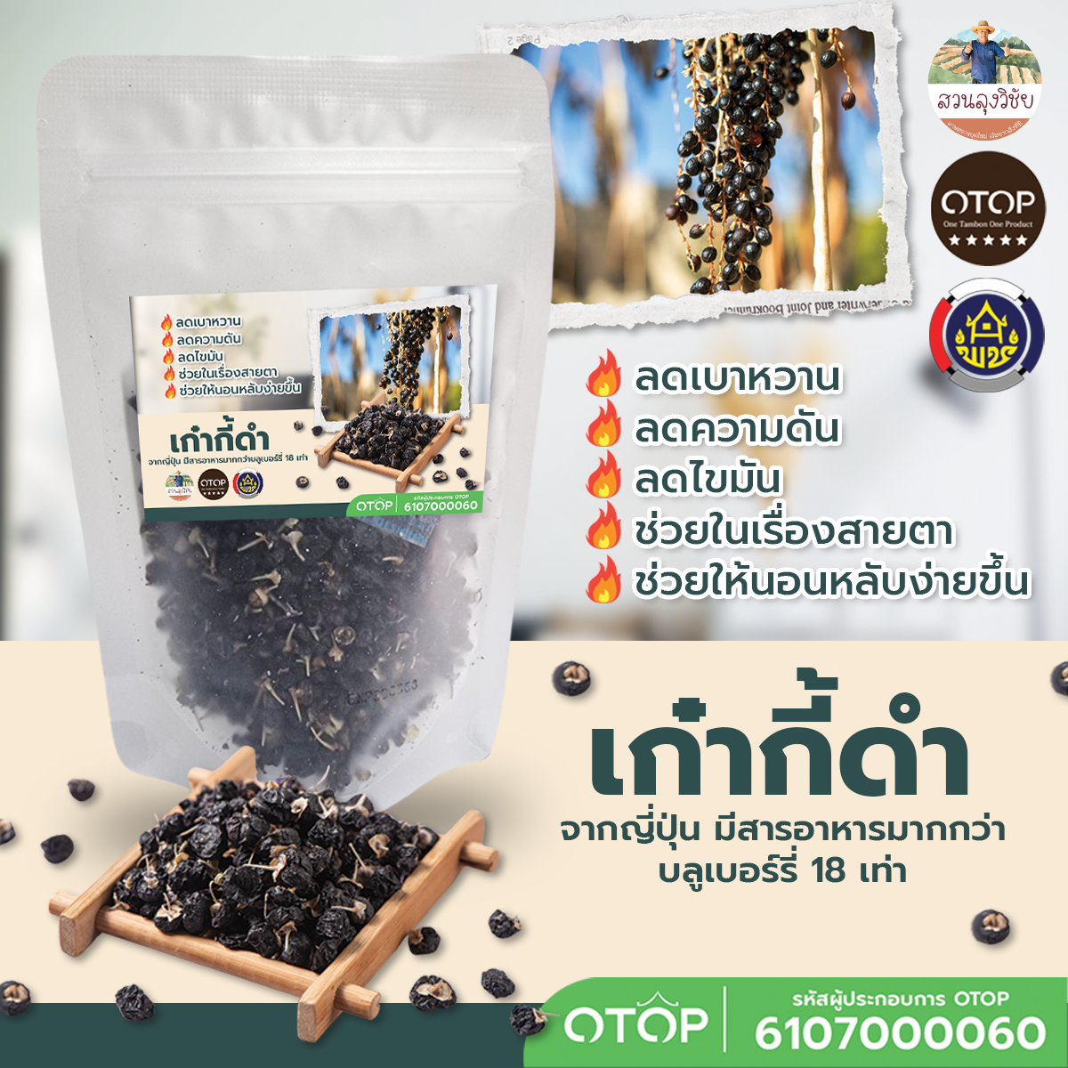 Black Goji Berry โกจิเบอร์รี่ดำ ชาเก๋ากี้ดำ เกรด Premium จากญี่ปุ่น เม็ดใหญ่พิเศษ Wolfberry