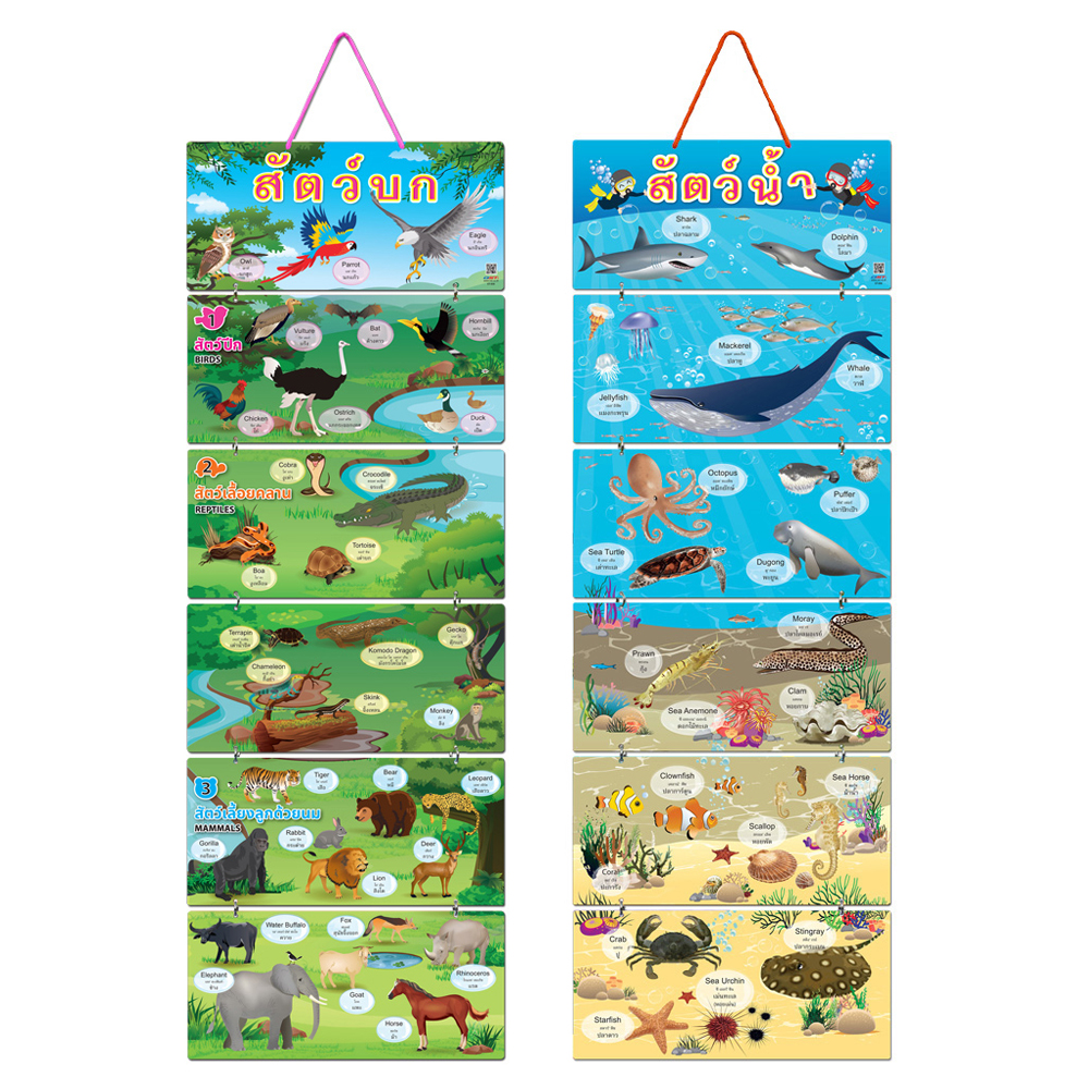 Hanging Display Flashcards Types of Animals
