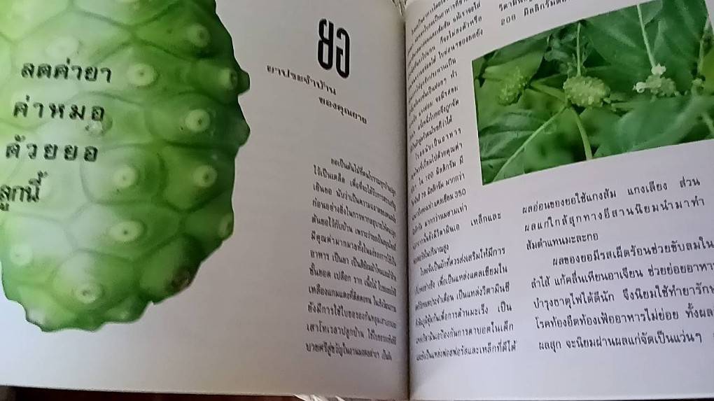 สมุนไพรอภัยภูเบศร สืบสารภูมิปัญญาไทย