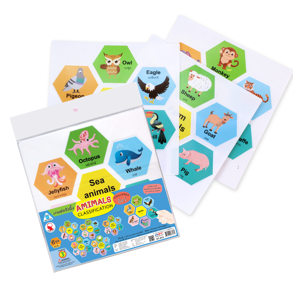 เกมต่อรังผึ้ง ชุดประเภทของสัตว์ Animals Classification