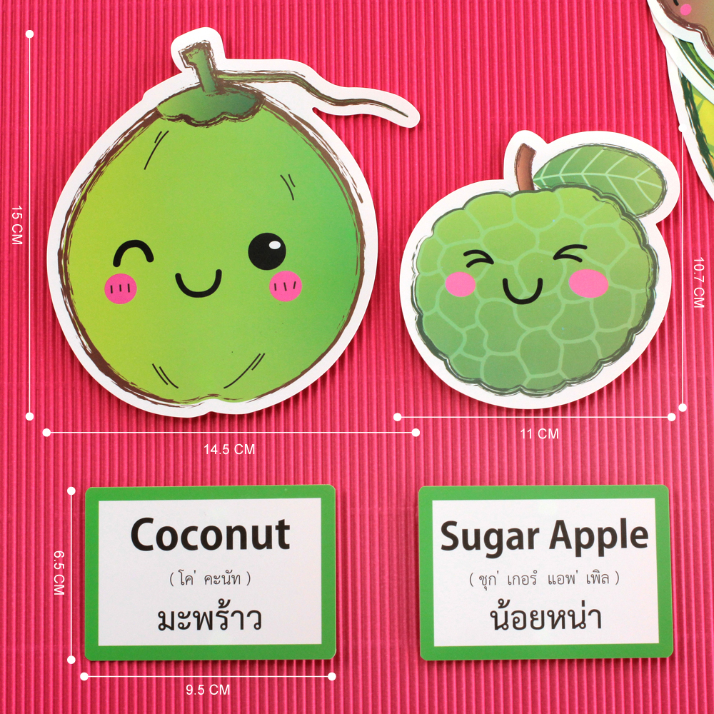 เกมจับคู่ บัตรคำศัพท์2ภาษา ไทย-อังกฤษ ชุดผลไม้ Fruits ET-308