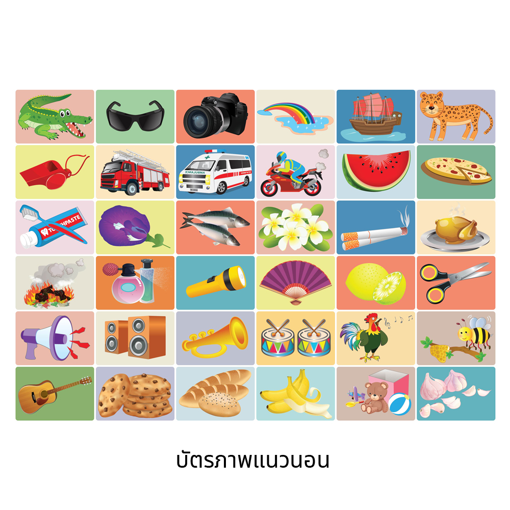 ชุดบัตรภาพสัตว์สิ่งของต่างๆ เกมสัมผัสทั้ง5 The 5 Senses ET-658