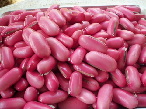 เมล็ดพันธุ์ถั่วอีโต้ แดง