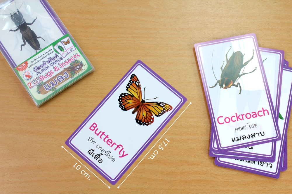 ขนาด บัตรคำ Flashcards ชุดแมลง Bug & Insects ET-334