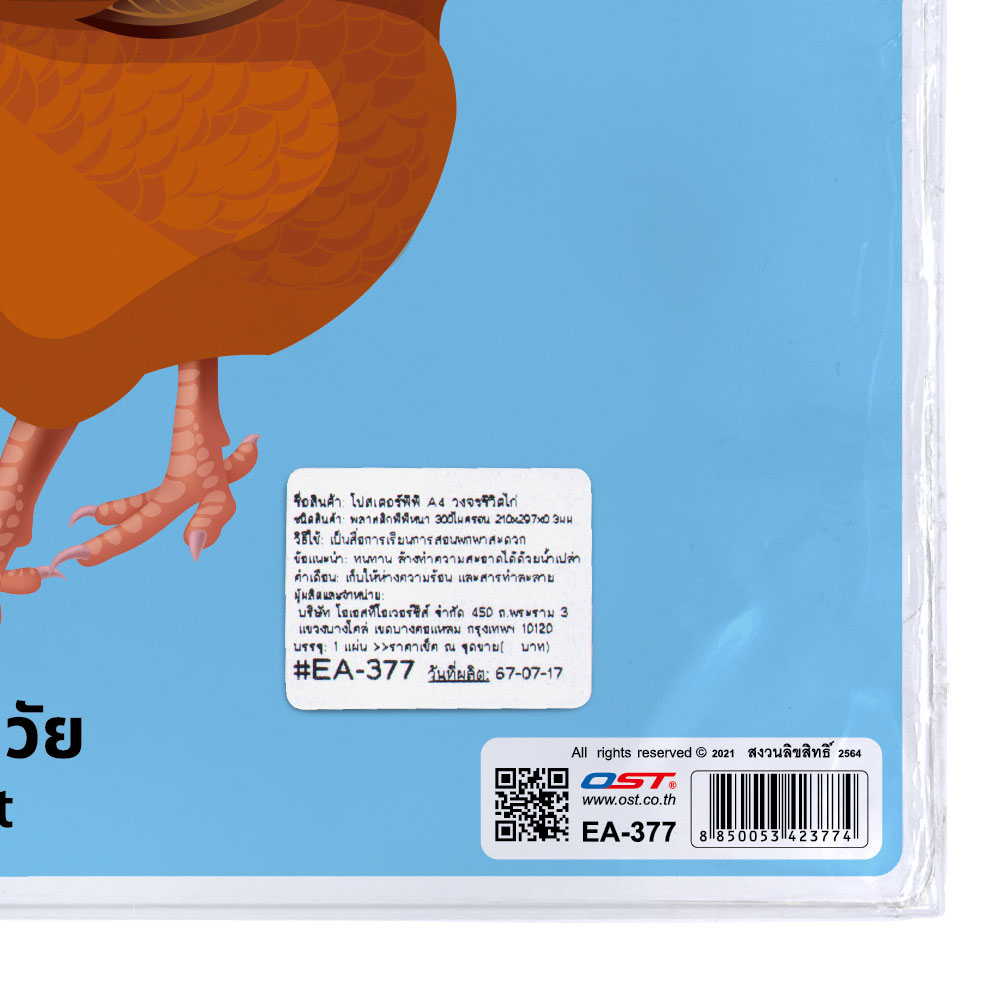 Animals Life Cycle Educational Posters A4 size