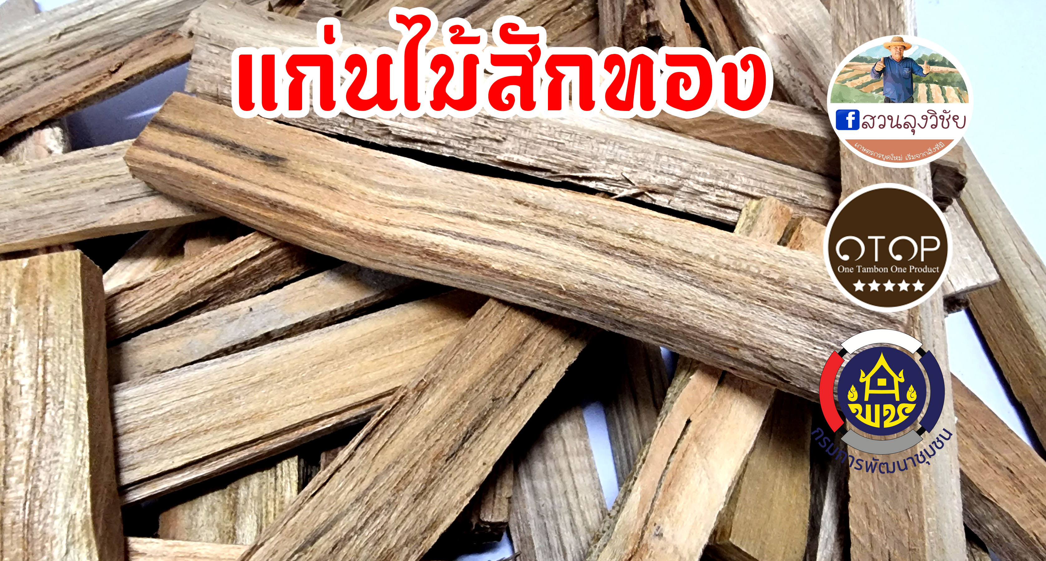 สมุนไพรแก่นไม้สัก แก่นสัก แก่นไม้สักทอง แก่นสักแห้ง แก่นไม้สักแห้ง จากไม้สักทอง สะอาด ปลอดภัย