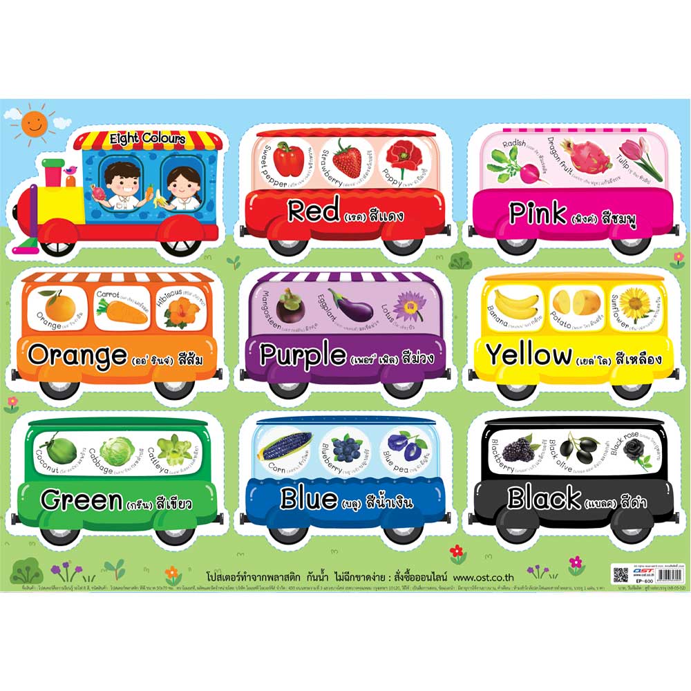 Learning Colours Educational Posters EP-600