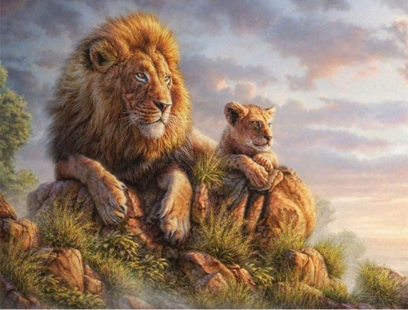 lion-1001 *สินค้าหมด* ชุดปักครอสติช ลายสิงโตพ่อลูก (งานปักเต็มลาย ไม่มีเดินเส้น) ขนาด 50*40 ซม.ผ้าครอสติช 11CTพิมพ์ลายปักบนผ้า ไหมคอตตอน 34 สี ผังลาย เข็ม