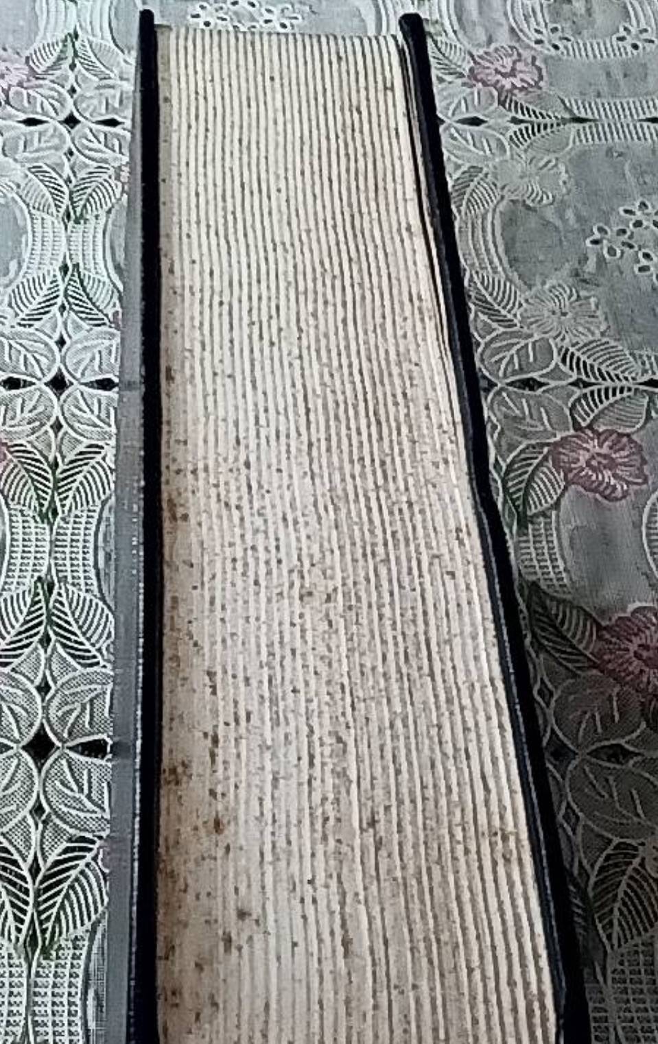 พี่น้องคารามาซอฟ