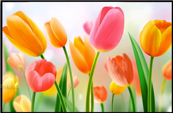tulip-1011 *พร้อมส่ง* ชุดปักครอสติช ลายทุ่งทิวลิป (ปักเต็มผืนผ้า ไม่มีเดินเส้น ผ้า11CTพิมพ์ลาย ปัก 3 เส้นเล็ก) ขนาด 105*61 ซม.ผ้าครอสติช 11CTพิมพ์ลายปักบนผ้า ไหมคอตตอน 38 สี ผังลาย เข็ม
