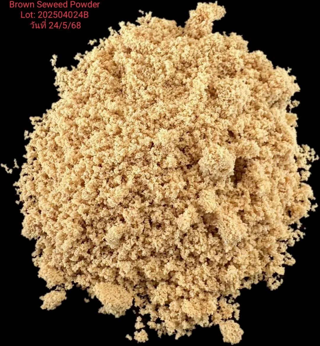 Brown(Gold) Seaweed Extract Powder ผงสาหร่ายสกัด สีน้ำตาลทอง (จีน) ละลายน้ำ 100% บรรจุ 1 กก. (R)