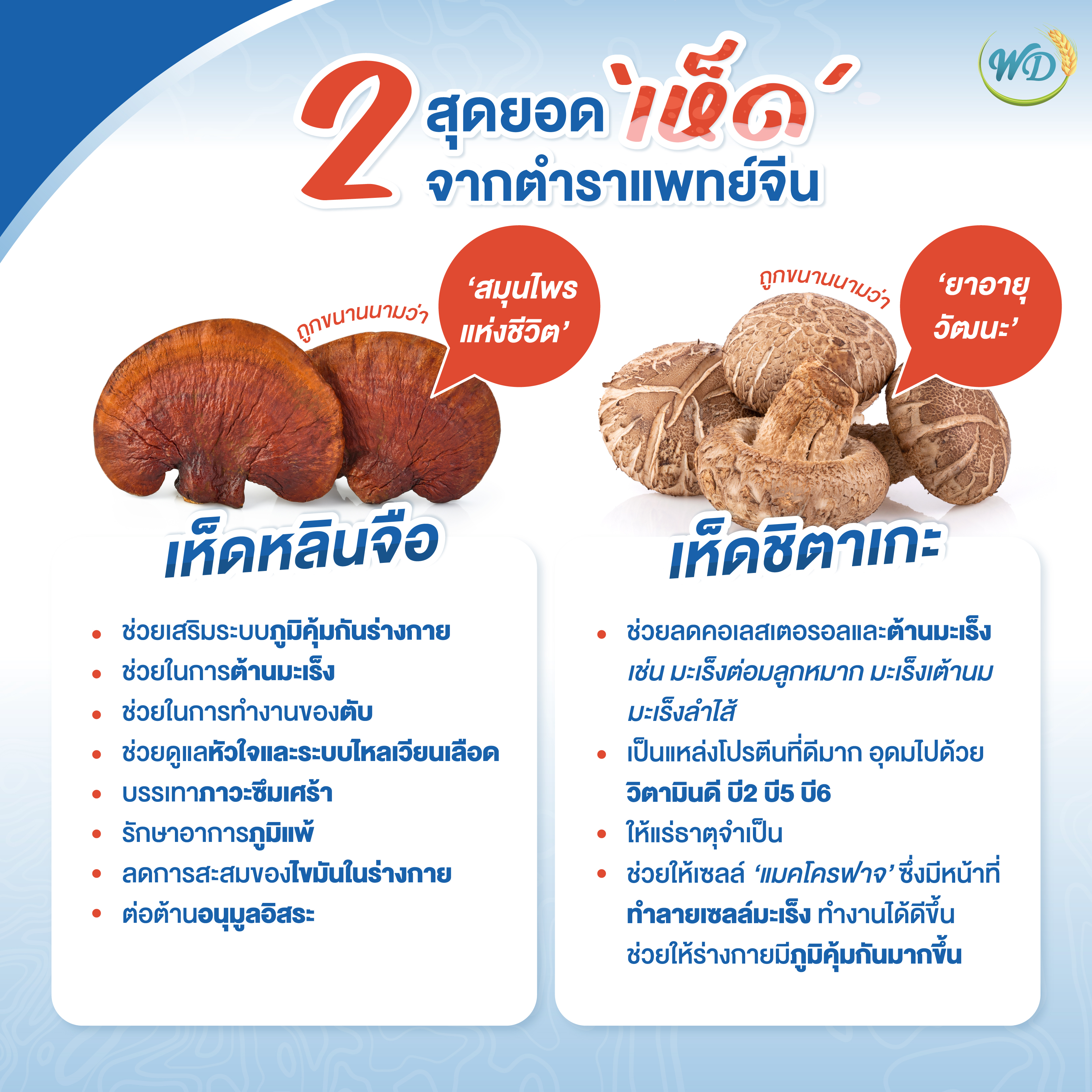 สารสกัดสมุนไพร ลดเบาหวาน ความดัน BS (3 กระปุก)