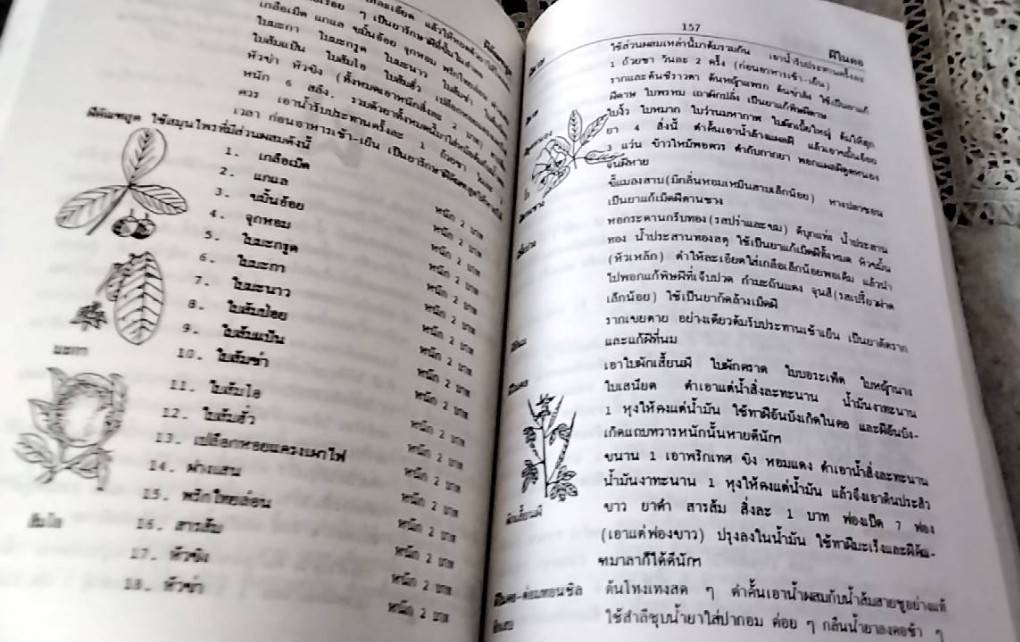 พจนานุกรมโรคและสมุนไพรไทย