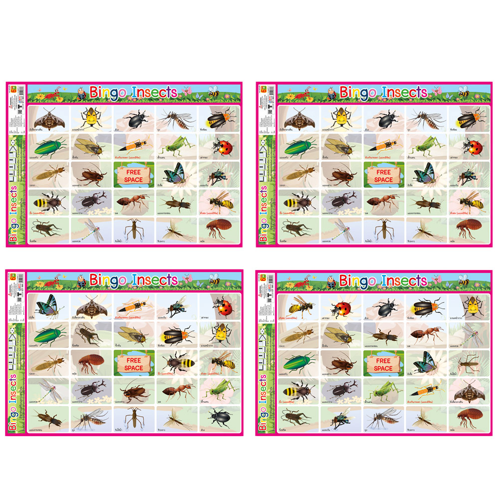 เกมบิงโก ชุดแมลง Insects ET-565