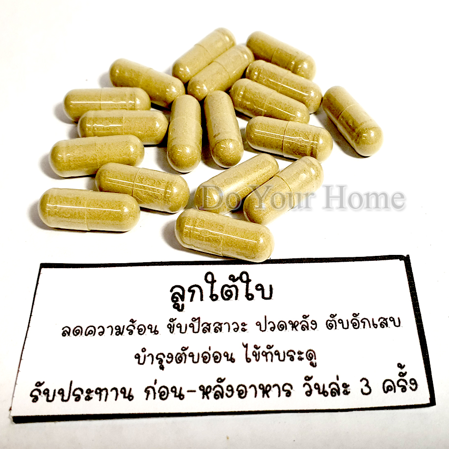 ลูกใต้ใบ บำรุงตับ 100 แคบซูล