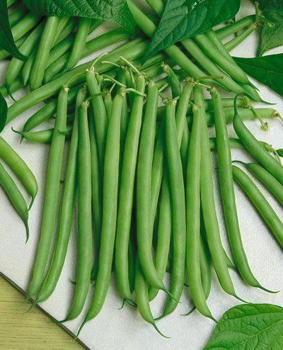 เมล็ดพันธุ์ ถั่วแขก