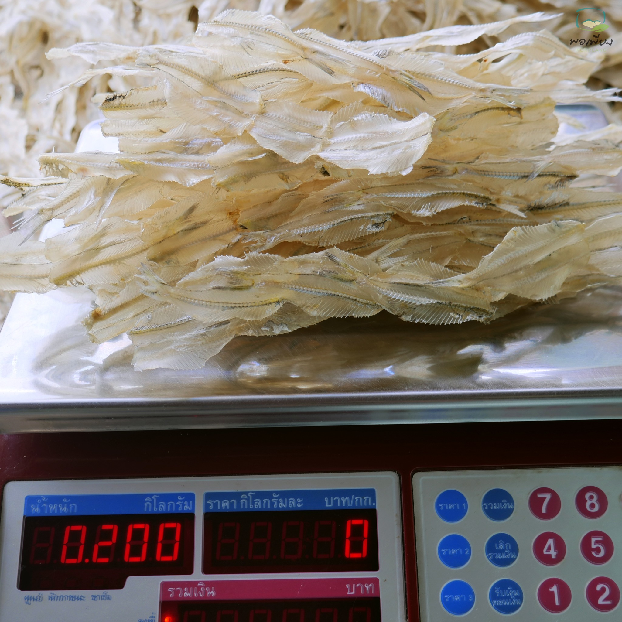 ปลาเกล็ดขาวผ่าพิเศษ ขายส่ง