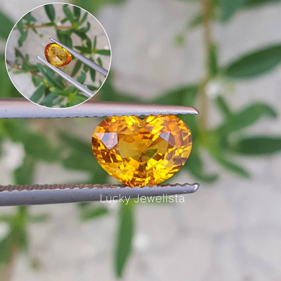 พลอยบุษราคัม บางกะจะ Yellow sapphire สีน้ำทอง ทรงหัวใจ 2.25 กะรัต 1