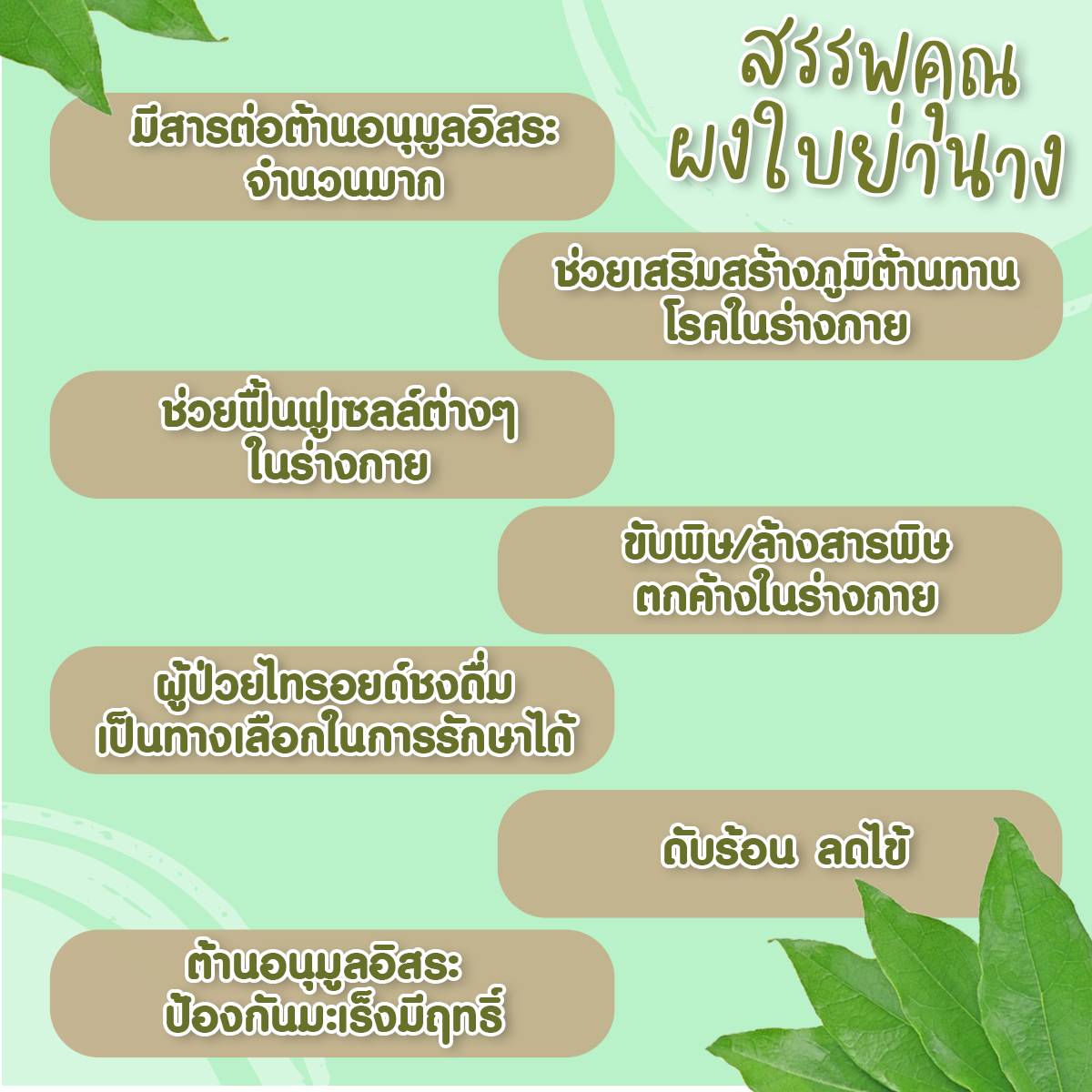 ผงใบย่านาง บดละเอียด ใบย่านางผง 100% คลอโรฟิลล์จากธรรมชาติ 60 กรัม ใช้ใส่แกงหน่อไม้หรือชงดื่ม