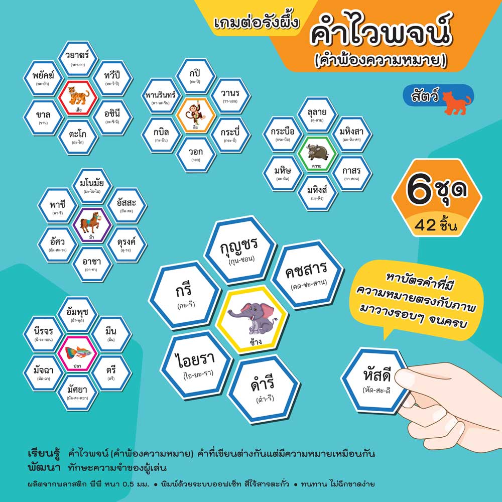 เกมต่อรังผึ้ง คำไวพจน์ คำพ้องความหมาย ET-810 ชุดสัตว์