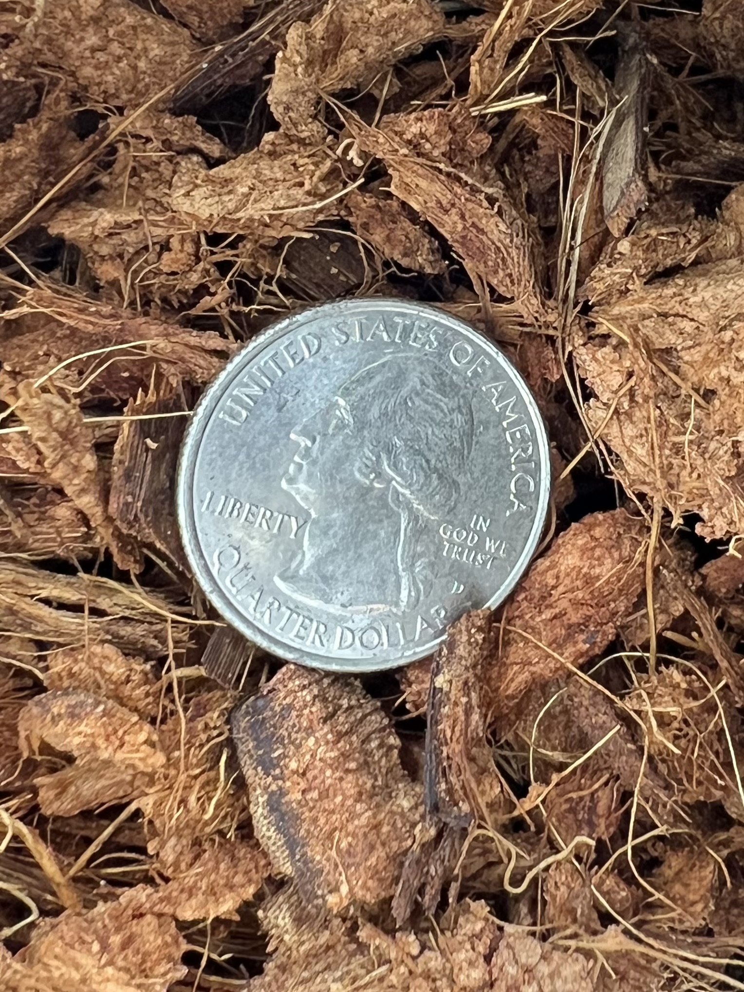 COCONUT COIR 1,200ML.