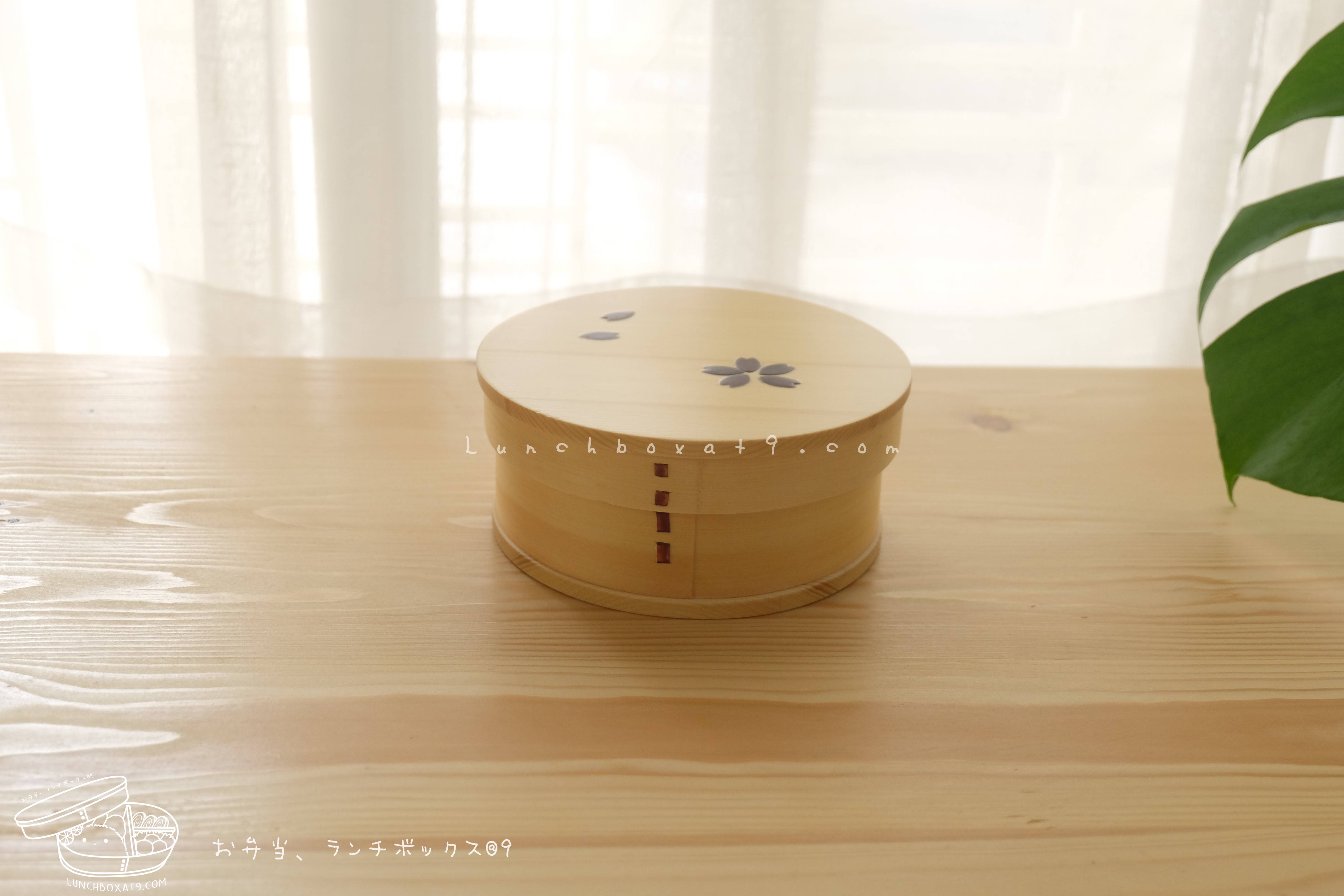 Round Shiraki Bending magewappa Cherry Blossom Pattern Bento Box กล่องข้าวญี่ปุ่นทรงกลม สีไม้ 1 ชั้น ลายดอกซากุระ