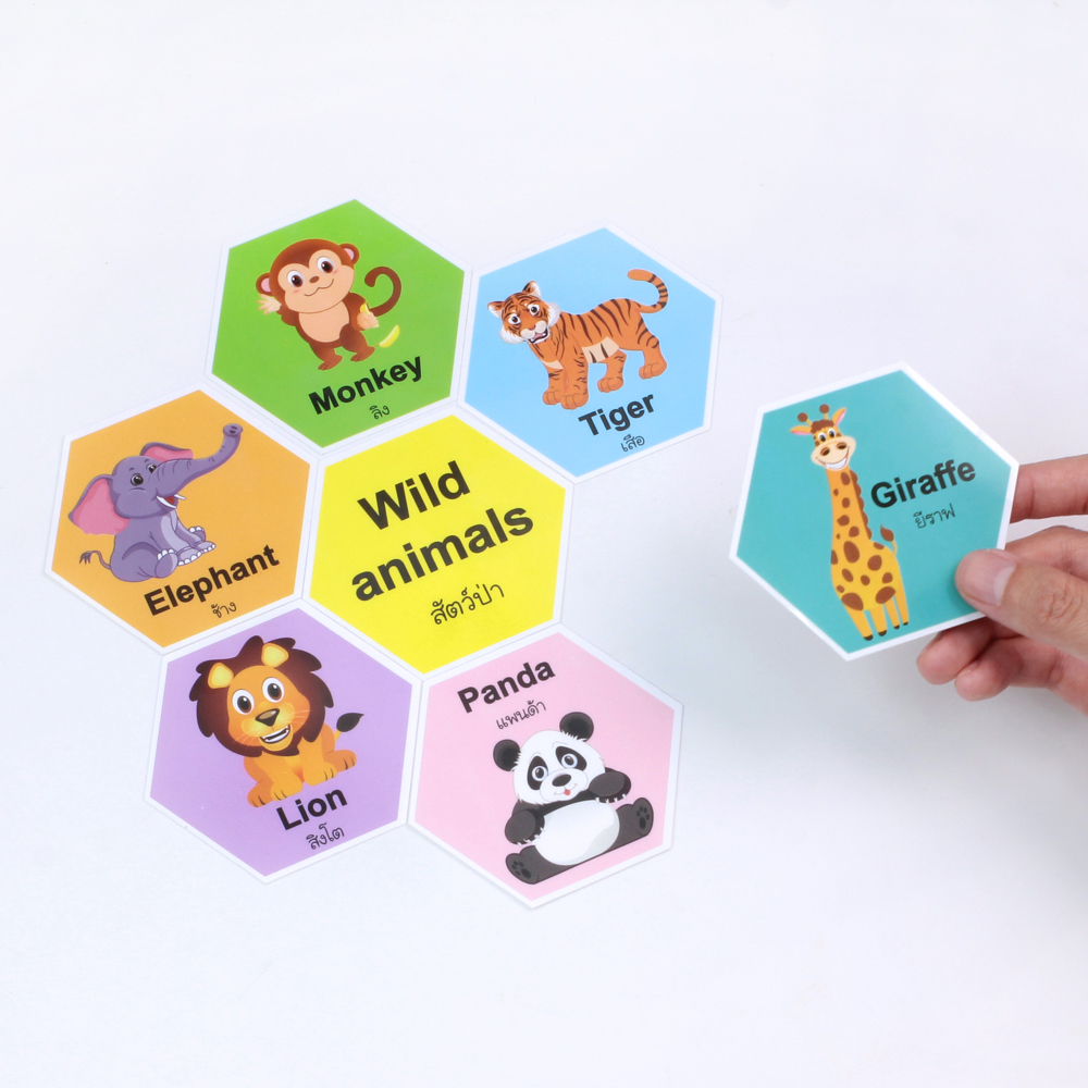 เกมต่อรังผึ้ง เรียนรู้ประเภทของสัตว์ ET-813 Animals Classification คำศัพท์ ไทย-อังกฤษ