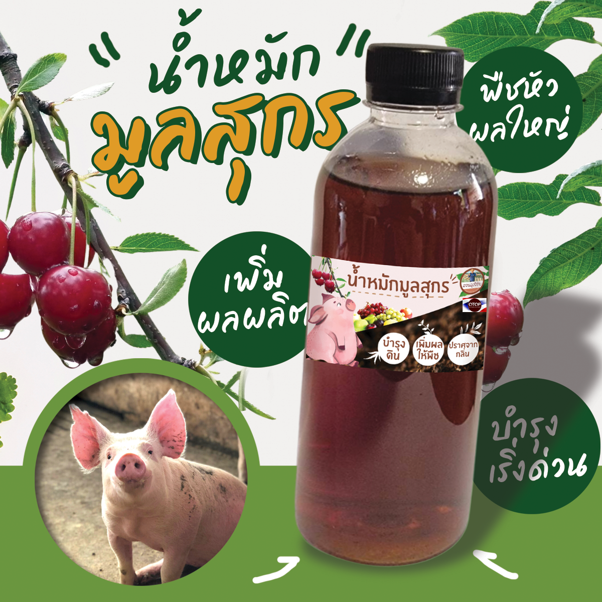 ปุ๋ยน้ำมูลสุกรชีวภาพ น้ำหมักมูลสุกร 100% ขนาด 1 ลิตร น้ำหมักมูลหมู น้ำหมักขี้หมู สูตรเข้มข้น พืช โตเร็ว