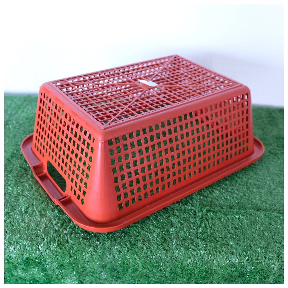 ตะแกรง No.49 B (RS)