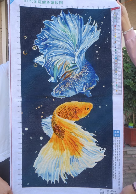 pla-1153 *สินค้าหมด* ชุดปักครอสติช ลายคู่ปลากัดฟ้าทอง (ปักเต็มผืนผ้า ไม่มีเดินเส้น ผ้า11CTพิมพ์ลาย ปัก 3 เส้นเล็ก) ขนาด 50*90 ซม.ผ้าครอสติช 11CTพิมพ์ลายปักบนผ้า ไหมคอตตอน 31 สี ผังลาย เข็ม