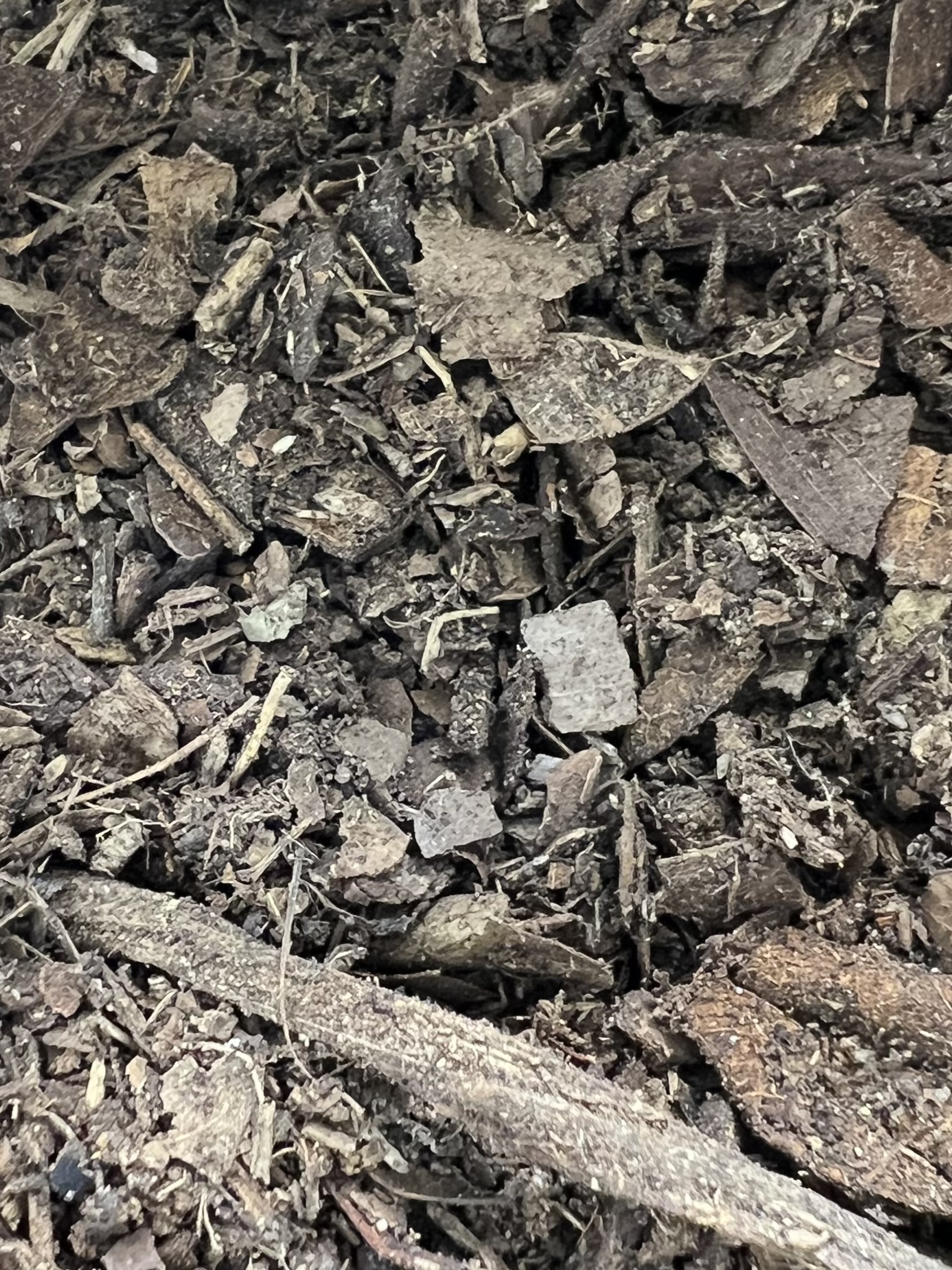 LEAF LITTER SOIL 1,200 ML.