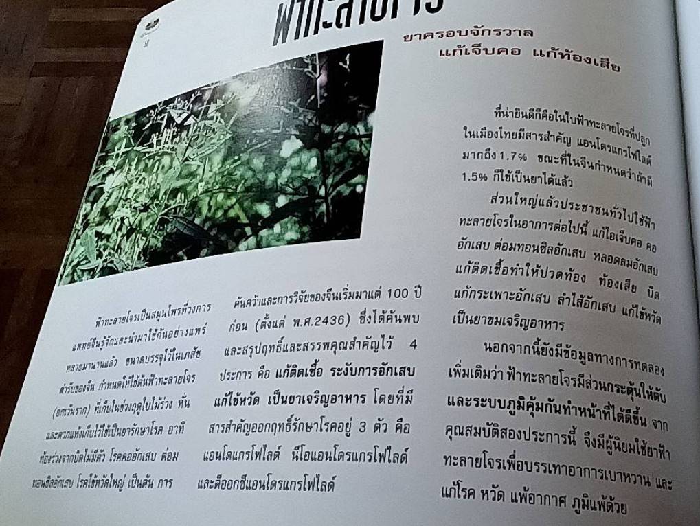 สมุนไพรอภัยภูเบศร สืบสารภูมิปัญญาไทย