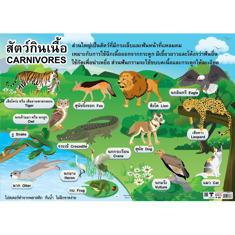 Carnivorous Animals Educational Posters No.323