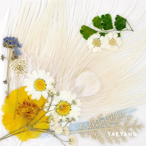 [PRE-ORDER] TAEYANG - 3rd Album "WHITE NIGHT" (WHITE Ver.)